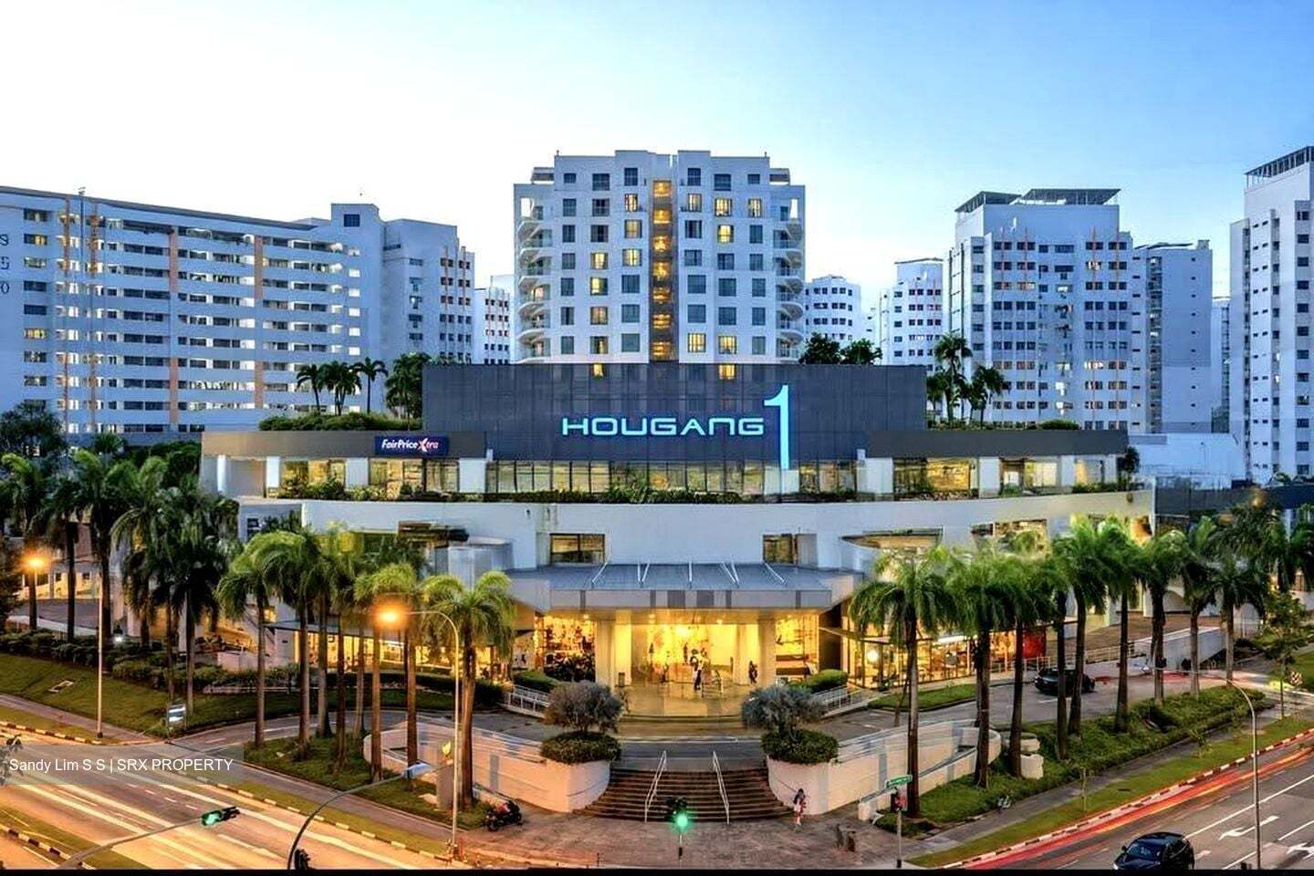 Blk 975 Hougang Street 91 (Hougang), HDB Executive #612332391